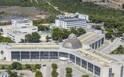 Abierto Plazo de Solicitudes 23 Plazas Escala Auxiliar Administrativa Universidad de Cádiz.