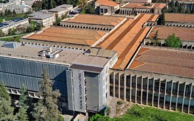 Apertura Plazo Solicitudes 36 Plazas Escala Auxiliar Administrativa Universidad de Granada