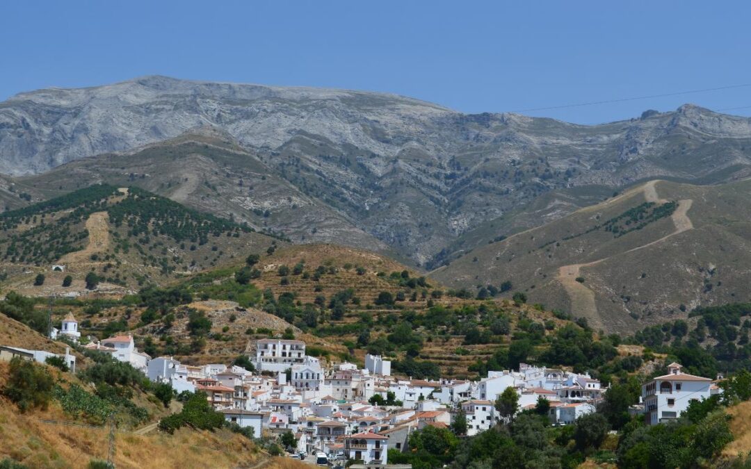 Oferta Empleo Público 2025 Ayuntamiento de Sedella (Málaga)