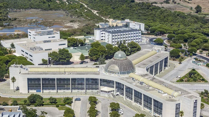 Abierto Plazo de Solicitudes 11 Plazas Escala Auxiliar Administrativa Universidad de Cádiz